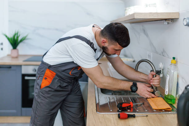 Best Local Plumber Services  in Mianna, AR